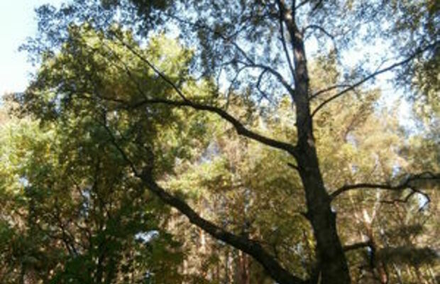 Сентябрьский