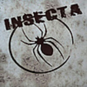 Insecta