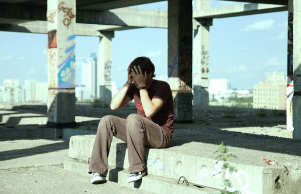 Адаптация Пчёл