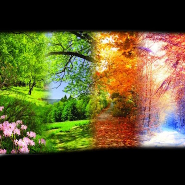 Музыка при свечах! Вивальди. Времена года. Моцарт. Маленькая ночная серенада. Паганини. Кампанелла