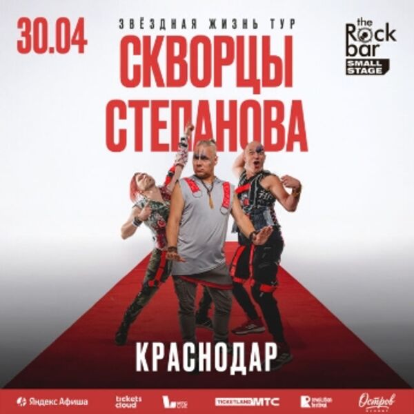 Скворцы Степанова