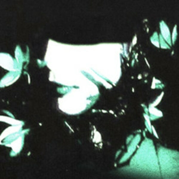 Культура курения, Ospa 1959 + Support