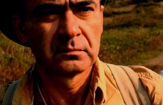 Третье насекомое