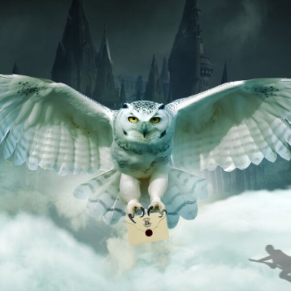 Гарри Поттер. Оркестр Sonorus