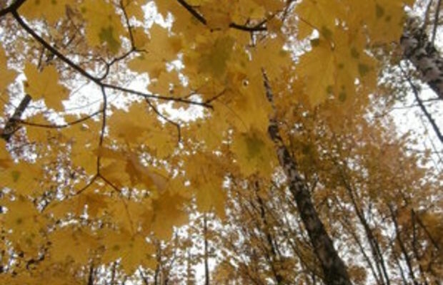 Октябрьский