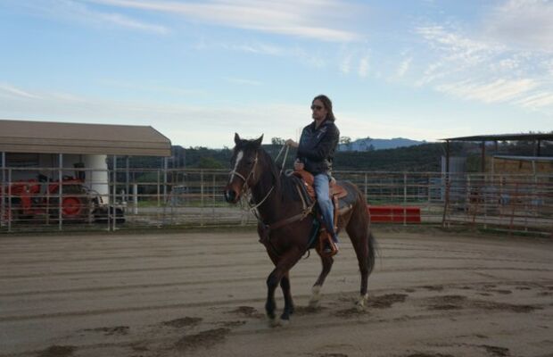 Арнесс - Файер - роуд