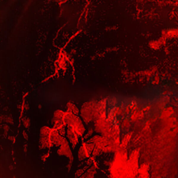 Brandy Kills. Большой сольный концерт