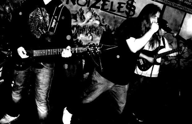 NoiZeless: Rocking the Neighborhood!