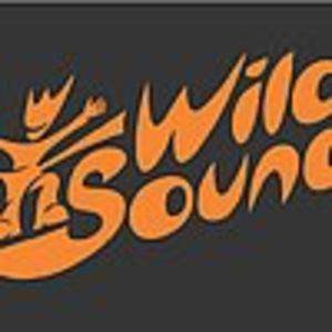 Репетиционная база и студия WildSound