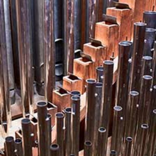 Евгений Авраменко. Орган