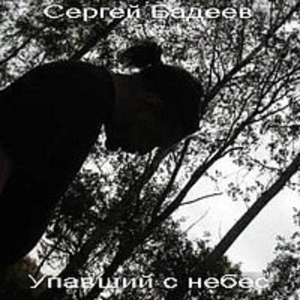 Сергей Бадеев - Упавший с небес