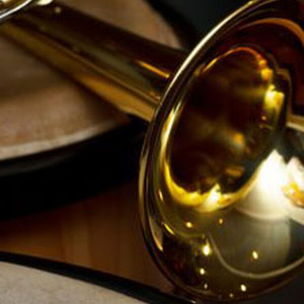 Живые струны родной земли