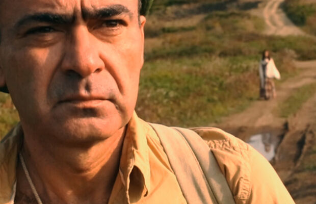 Третье насекомое