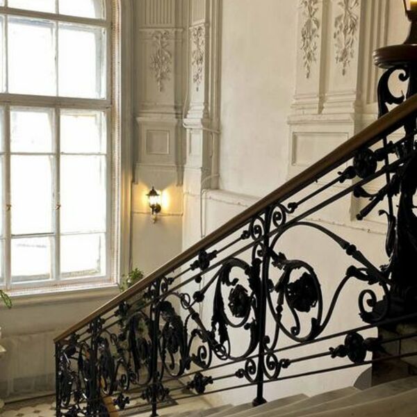 Посещение интерьеров особняка Шрёдера + В объятьях оперы