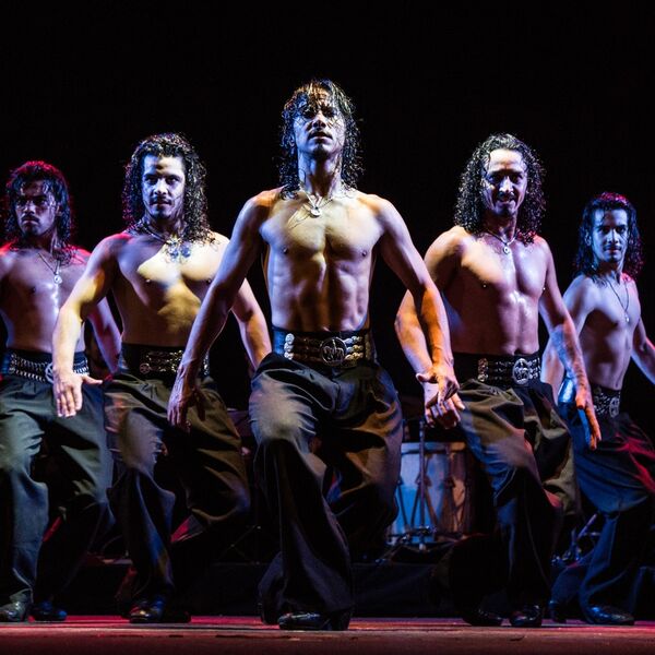 Los Potros Malambo. Freedom