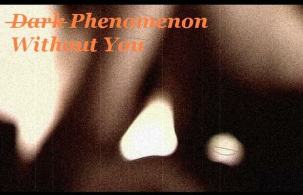 Without you- music video screens