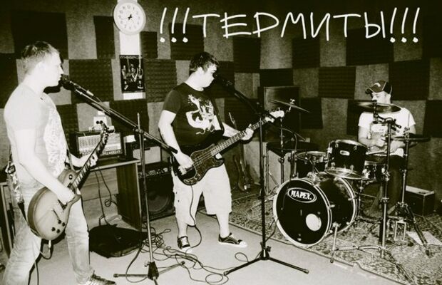 Термиты - 2014