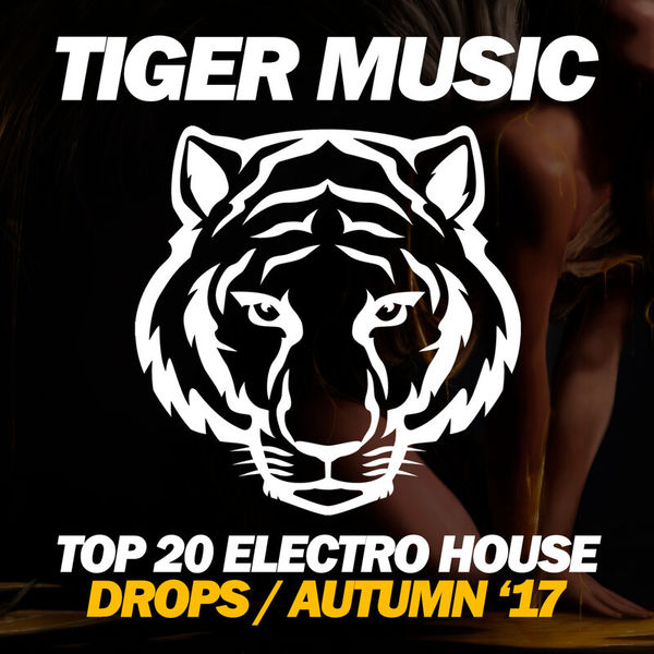 Top 20 Electro House Drops (Autumn '17)