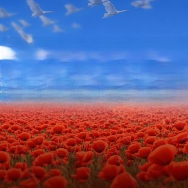 Память сердца: музыка, которая объединяет