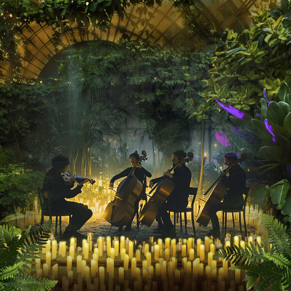 Магия свечей. От Баха до рок-хитов в Оранжерее