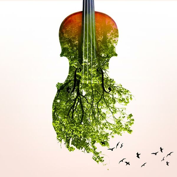 Времена года. Вивальди. Пьяццолла