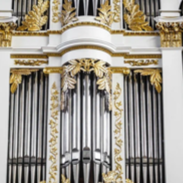 Концерт Александра Фисейского. Орган