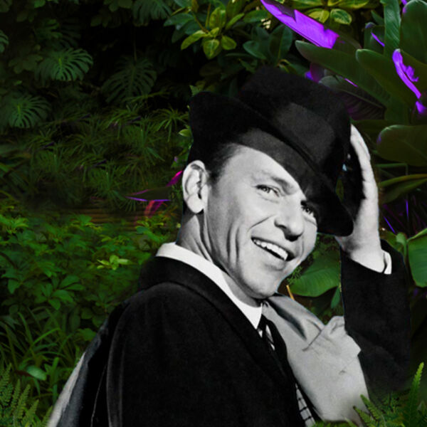 МАГИЯ СВЕЧЕЙ. “Джаз. Frank Sinatra” в Оранжерее