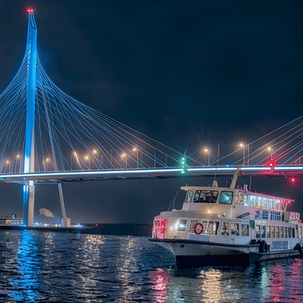 Музыкальный теплоход: Танцы на Неве