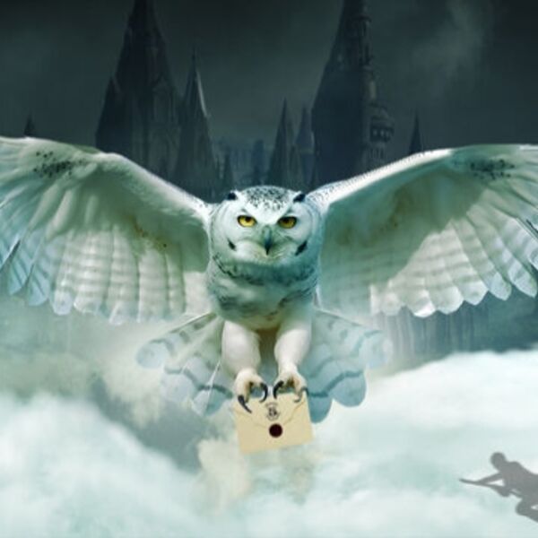 Гарри Поттер. Оркестр Sonorus