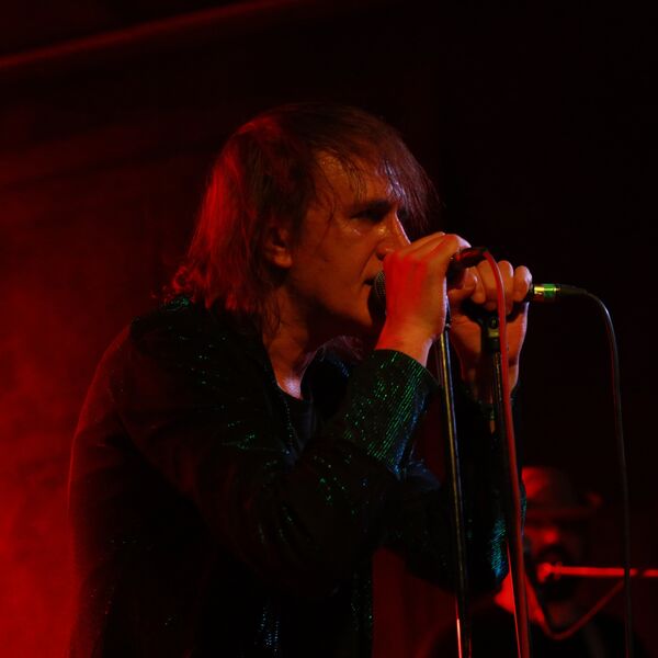 Собаки Табака