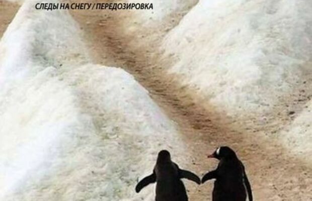 Обложки альбомов 