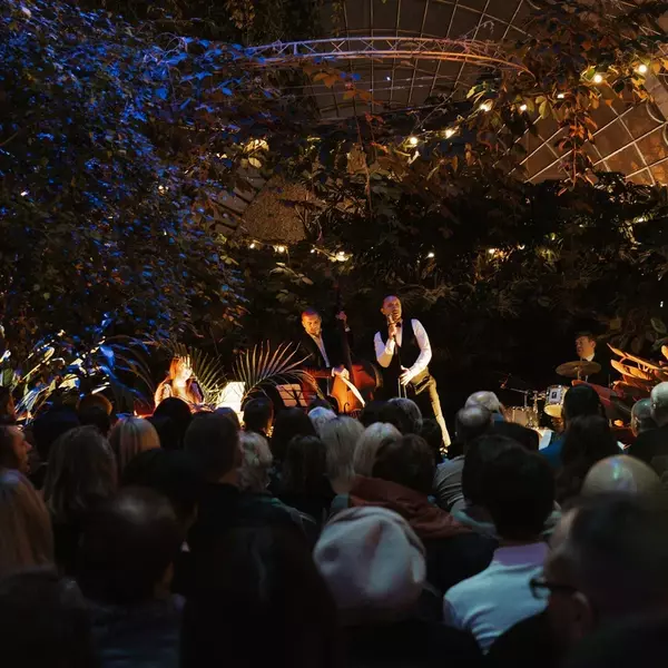 Магия свечей. Фрэнк Синатра. Джаз в оранжерее