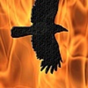 Черные Птицы