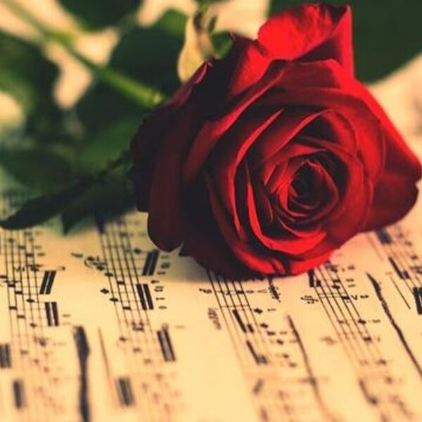 Концерт камерной музыки «Союз стихий»