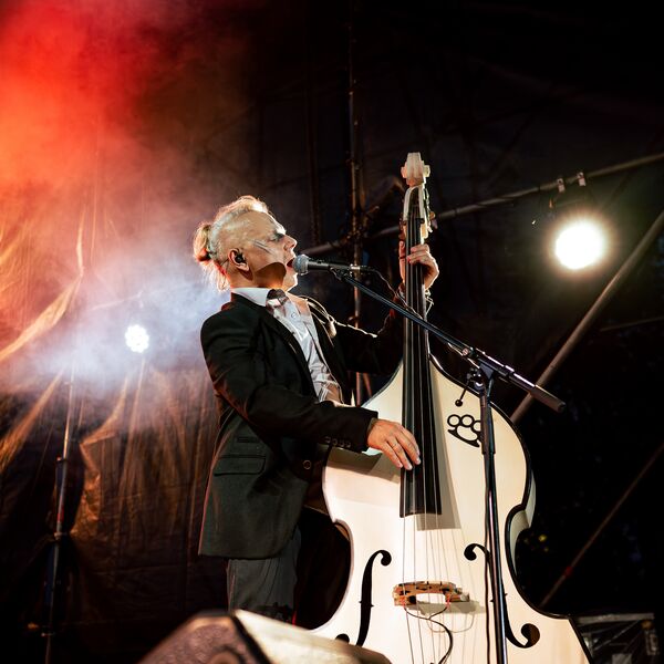 Скворцы Степанова. Unplugged