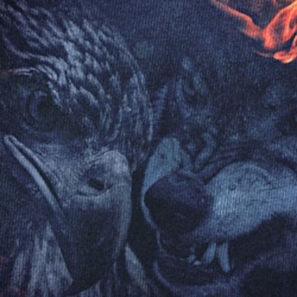 Концерт Wlvs & Bird Bone