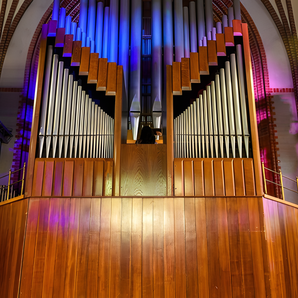 Экскурсия к органу