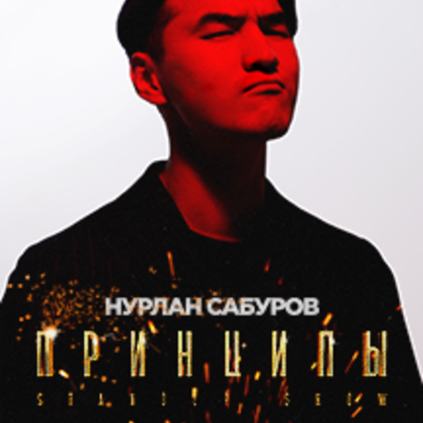 Сабуров принципы 2024