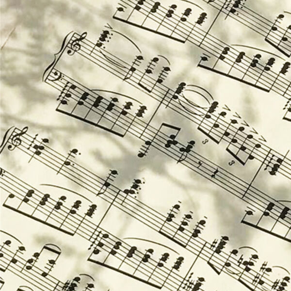 «Песни со словами и без»