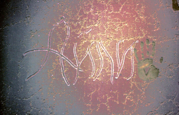 Айли Вайт Нигга