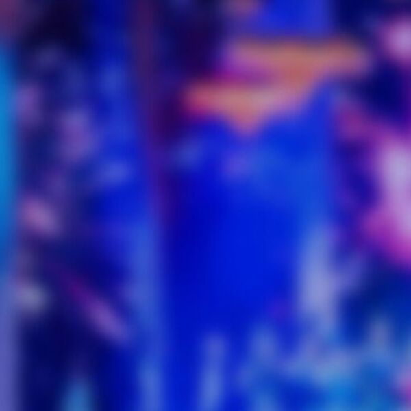 Волшебный мир