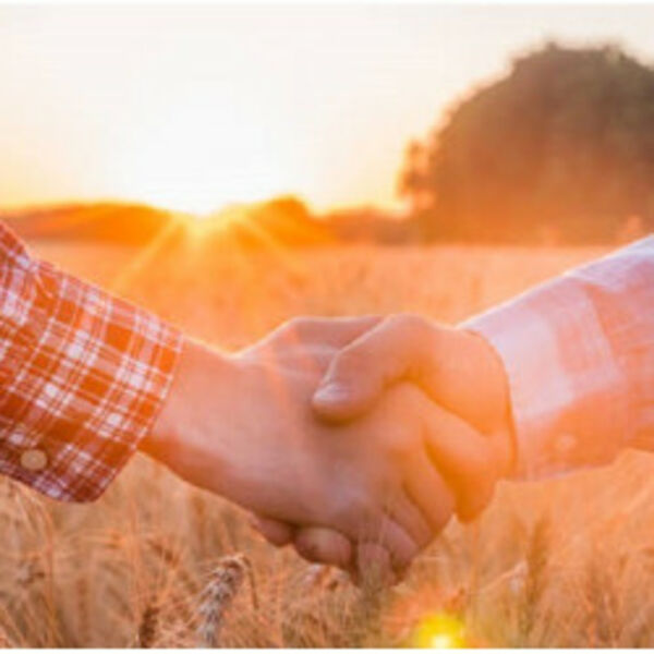 Вместе мы Россия