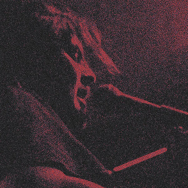 Bird Bone и НДвТБ