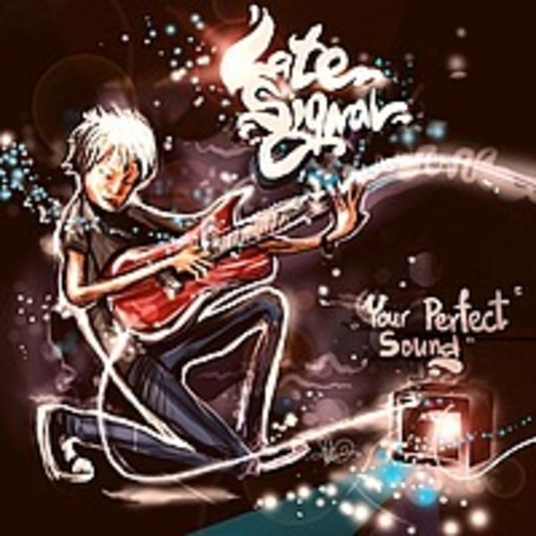 Your Perfect Sound 2011 (demo)