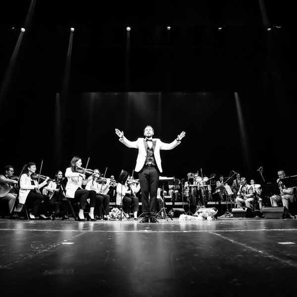 Раймонд Паулс. Золотые мелодии