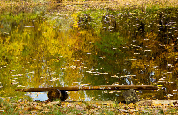 ЭлектроОсень