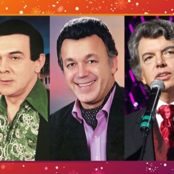 Праздничный новогодний концерт мастеров искусств