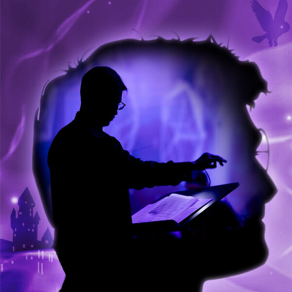 Концерт оркестра «Искусство музыки». «Гарри Поттер»