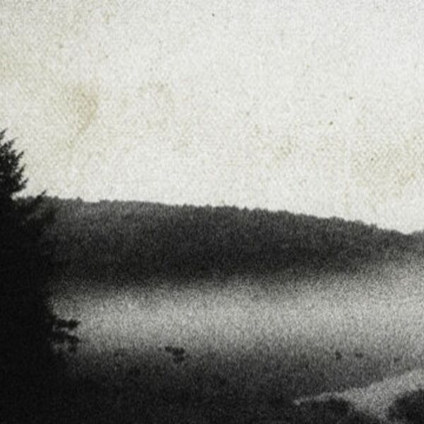 Cage of Creation w/ Fausttophel, Imgvn