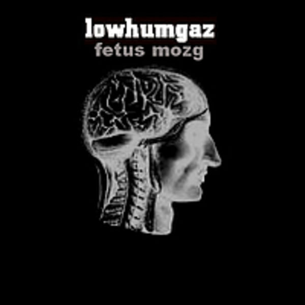 fetus mozg